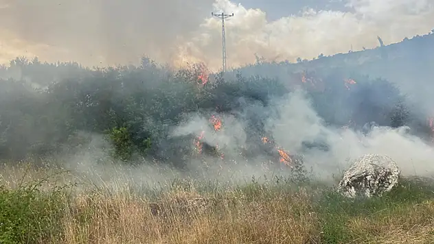 1 Günde 10 Orman Yangını Çıktı