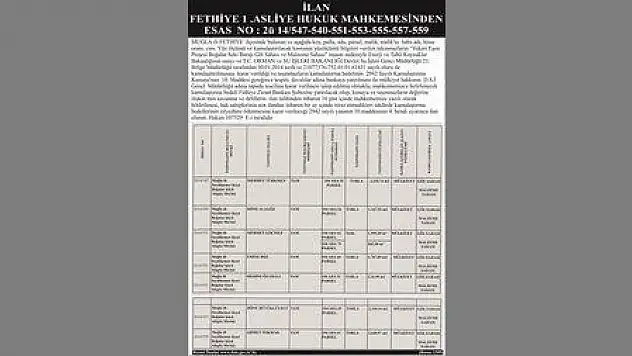 FETHİYE 1.ASLİYE HUKUK MAHKEMESİNDEN