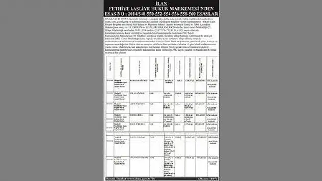 FETHİYE 1.ASLİYE HUKUK MAHKEMESİNDEN