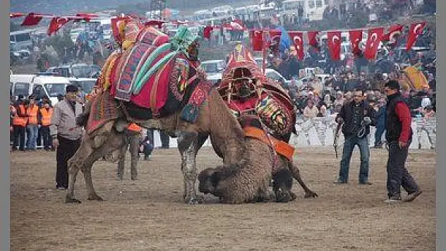 DEVELER BİRBİRİNİ YENEMEDİ