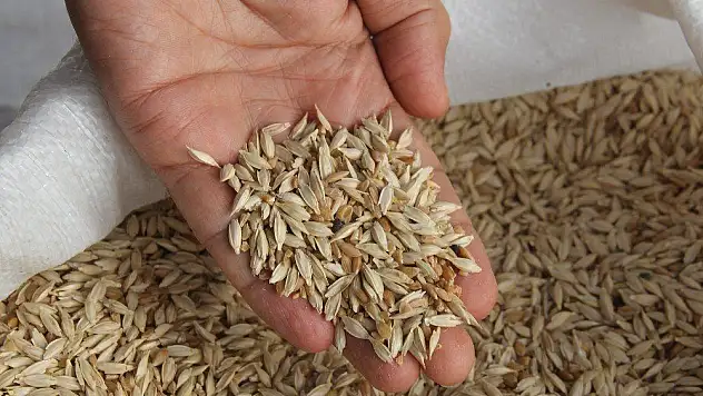 Önder çiftçilerden 'Hitit' buğdayına destek