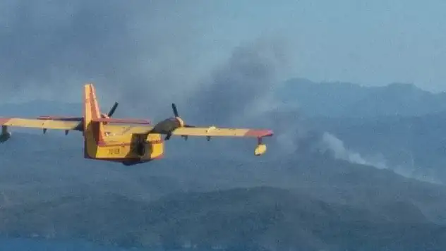 Kaza yapan araç 20 hektar ormanı kül etti