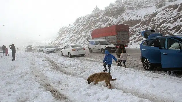 Muğla, kar yağışını sıkıntısız atlattı