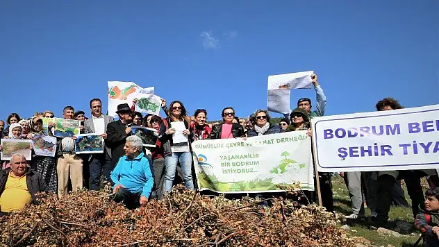 Bodrum'da ormanıma dokunma eylemi