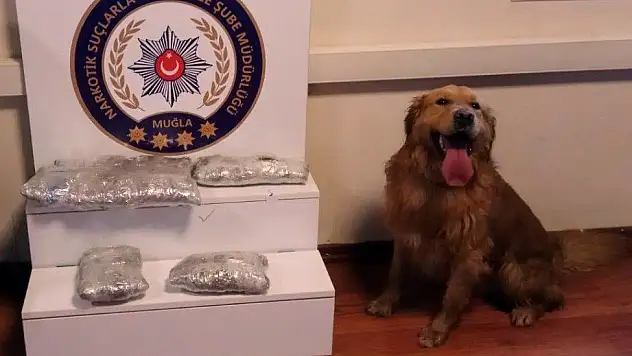 100 bin lira değerinde uyuşturucu ele geçirildi