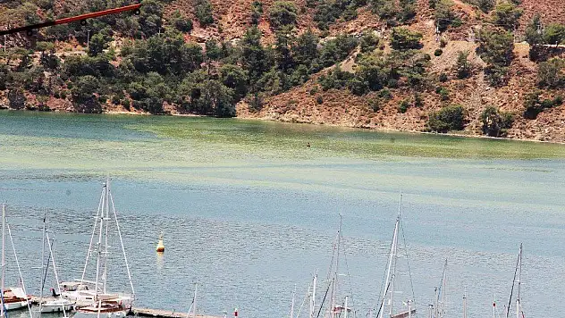 Fethiye Körfezi'nde sarı ve yeşil alarm