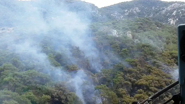 Milas'taki yangında soğutma çalışmaları devam ediyor