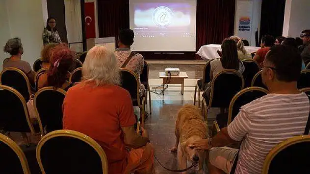 MAHAYKO'dan kamu spotu