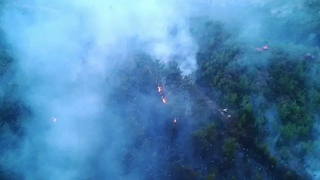 Muğla'da ve Aydın'da 'Yıldırım' yangınları