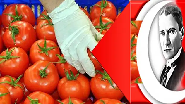 FETHİYE'DEN 106 BİN 455 TON SEBZE İHRAÇ EDİLDİ