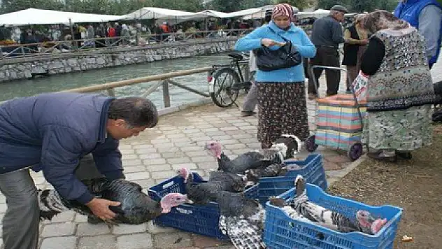 YILBAŞI HİNDİSİNE TALEP AZ...