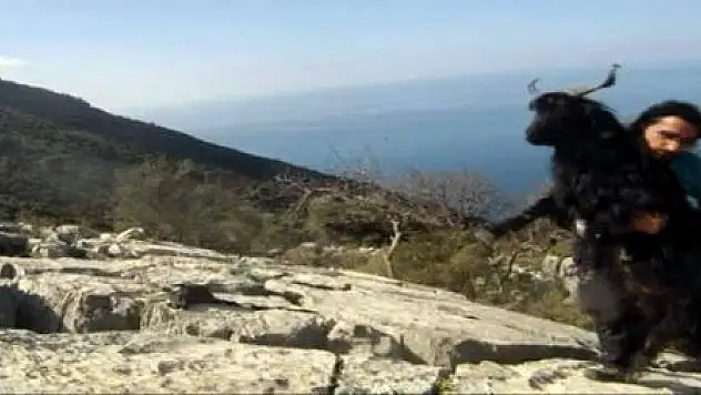 KAYALIKLARA SIKIŞMIŞ KEÇİYİ DOĞA SPORCUSU KURTARDI...