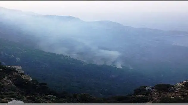   SEYDİKEMER'DEKİ YANGINDA 10 HEKTAR KÜL OLDU