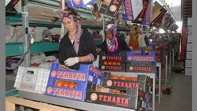 FETHİYE'DE İHRACATTAKİ SORUNA ALİ BOĞA EL KOYDU