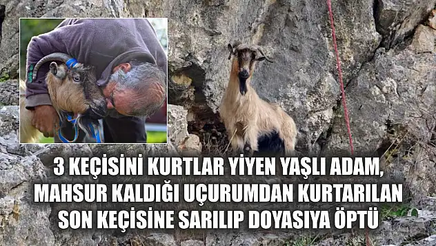 3 keçisini kurtlar yiyen yaşlı adam, mahsur kaldığı uçurumdan kurtarılan son keçisine sarılıp doyasıya öptü