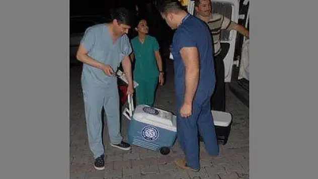 FETHİYE'DE İNGİLİZ BAYAN ÜÇ TÜRK'E HAYAT OLDU