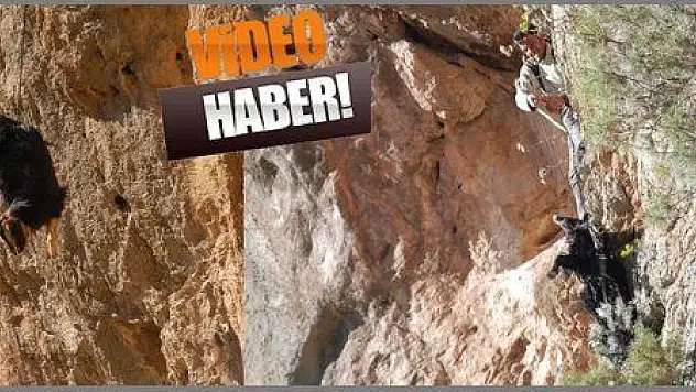 9 KEÇİYİ CANLARI PAHASINA KURTARDILAR