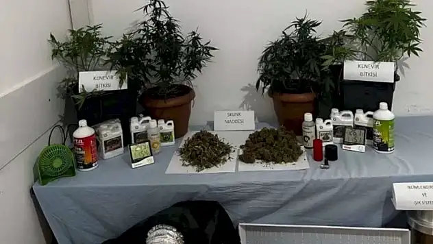 8 İlçede, 24 Kişi Gözaltına Alındı