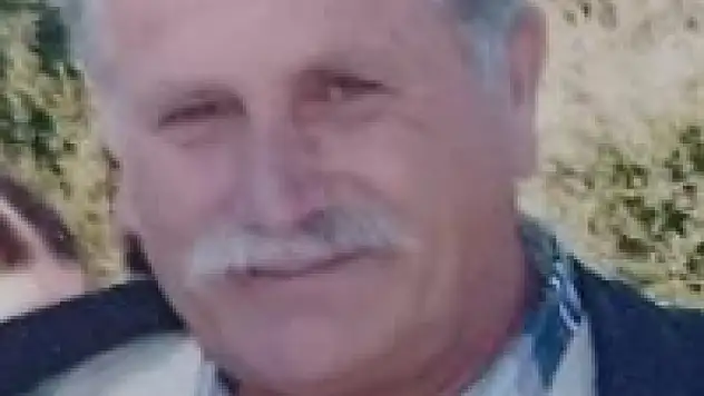 Ağaçtan düşerek hayatını kaybetti