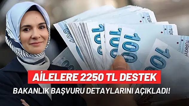 Ailelere 2250 TL Destek: Bakanlık yeni aile yardım programını duyurdu