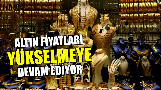 Altın fiyatları yükselmeye devam ediyor! 