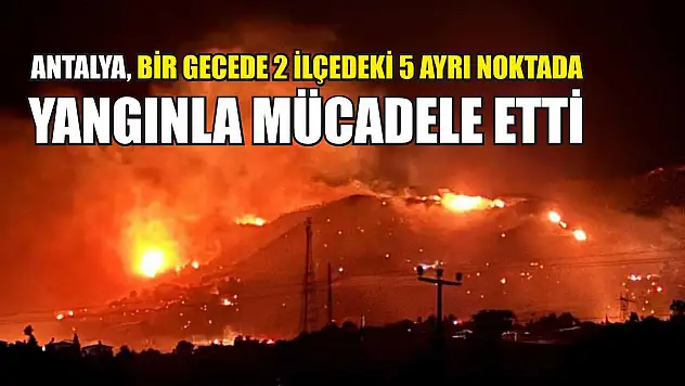 Antalya, bir gecede 2 ilçedeki 5 ayrı noktada yangınla mücadele etti