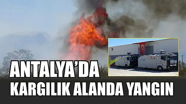 Antalya'da kargılık alanda yangın