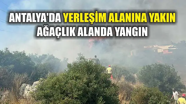 Antalya'da yerleşim alanına yakın ağaçlık alanda yangın