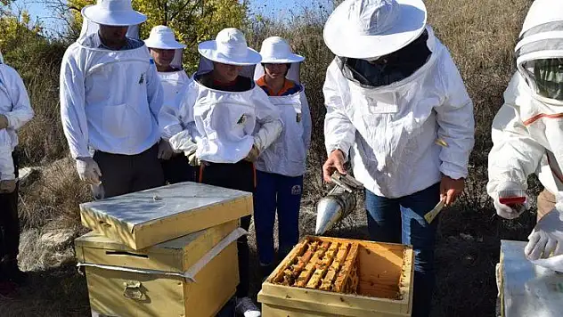 Arının Önemini Anlatıyorlar