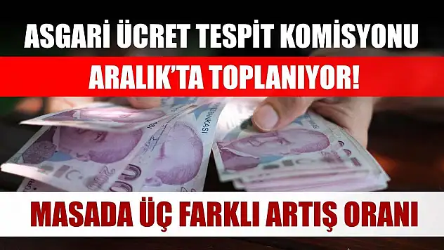 Asgari Ücret Tespit Komisyonu Aralık'ta toplanıyor! Masada üç farklı artış oranı