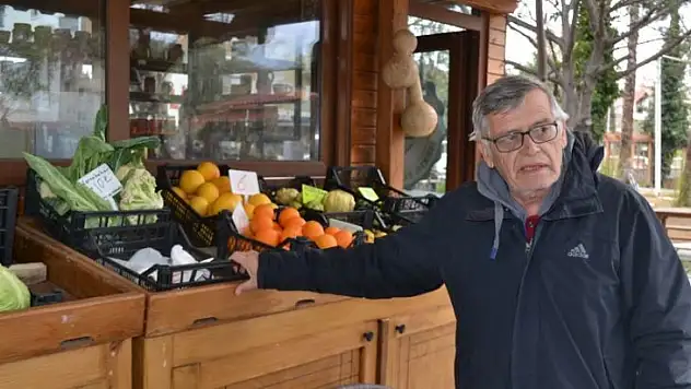 Ata tohumunu piyasaya çıkardılar