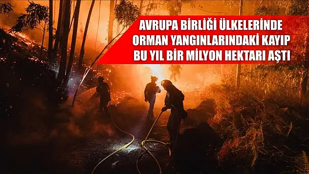 Avrupa Birliği ülkelerinde orman yangınlarındaki kayıp bu yıl bir milyon hektarı aştı
