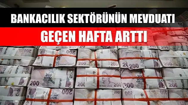 Bankacılık sektörünün mevduatı geçen hafta arttı