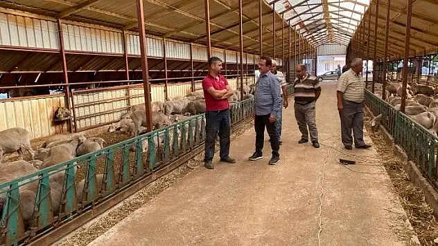 Başkan Öztürk, üreticinin sorunlarını dinledi