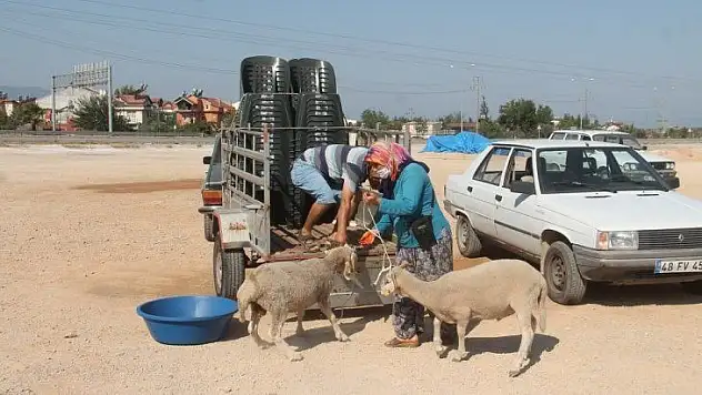Bayramın birinci gününde yoğunluk yaşandı