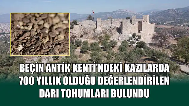 Beçin Antik Kenti'ndeki kazılarda 700 yıllık olduğu değerlendirilen darı tohumları bulundu