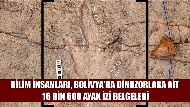 Bilim insanları, Bolivya'da dinozorlara ait 16 bin 600 ayak izi belgeledi