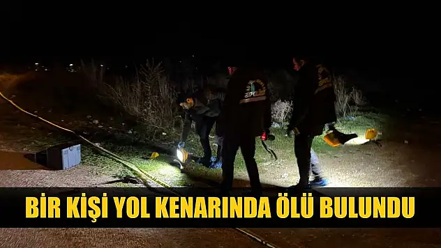 Bir kişi yol kenarında ölü bulundu