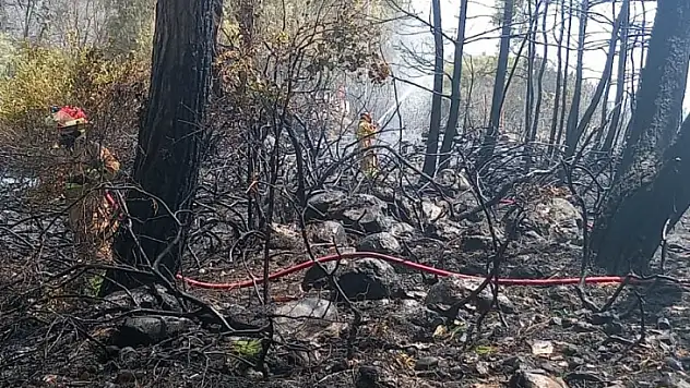 Bodrum'daki yangınla ilgili 3 kişi tutuklandı