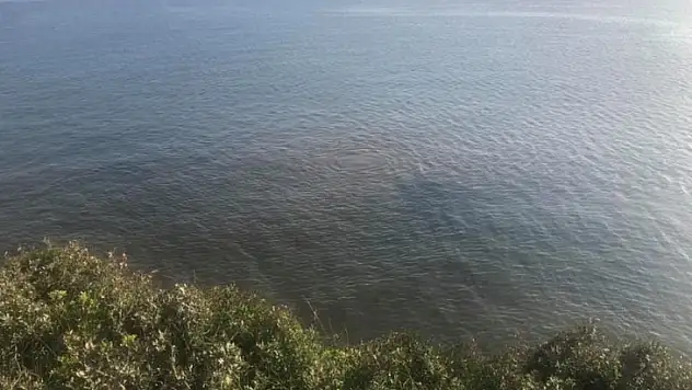 Bodrum'u göz göre göre öldürüyorlar