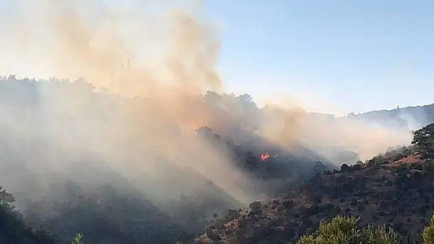 Bodrum yangını kontrol altında