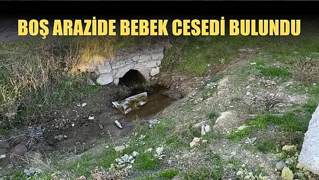 Boş arazide bebek cesedi bulundu