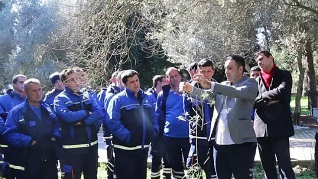 Büyükşehir'den 'Zeytin Budama' eğitimİ
