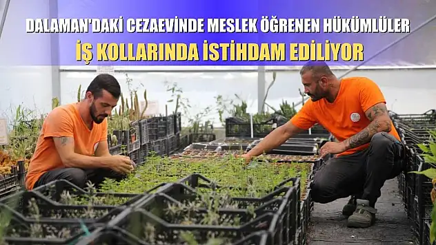 Dalaman'daki cezaevinde meslek öğrenen hükümlüler iş kollarında istihdam ediliyor