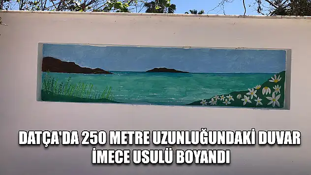 Datça'da 250 metre uzunluğundaki duvar imece usulü boyandı