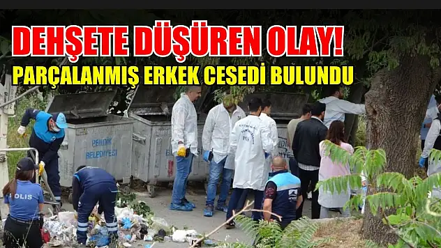 Dehşete düşüren olay! Parçalanmış erkek cesedi bulundu