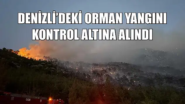 Denizli'deki orman yangını kontrol altına alındı