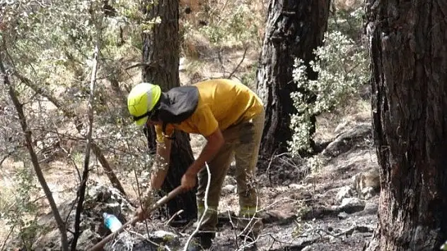 Doğu, 'Burası rastgele yol üzeri bir yer değil'