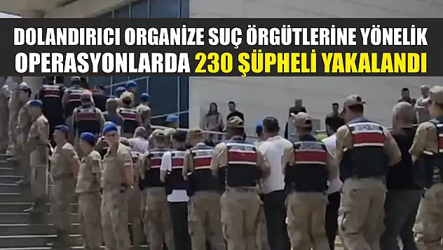 Dolandırıcı organize suç örgütlerine yönelik operasyonlarda 230 şüpheli yakalandı