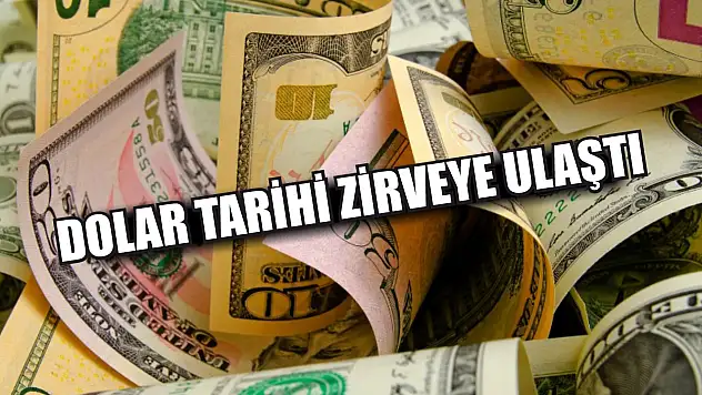 Dolar Tarihi Zirveye Ulaştı